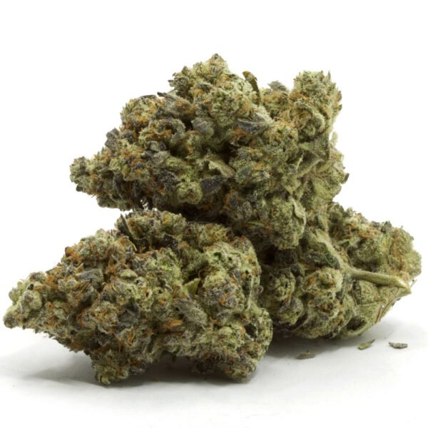 buy indica online